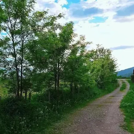 March On The Drino 公寓 巴伊纳巴什塔