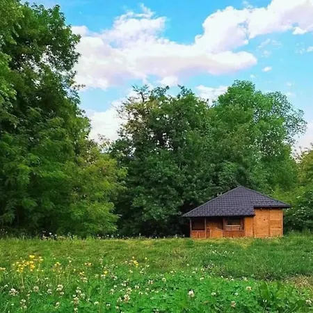 March On The Drino 公寓 巴伊纳巴什塔